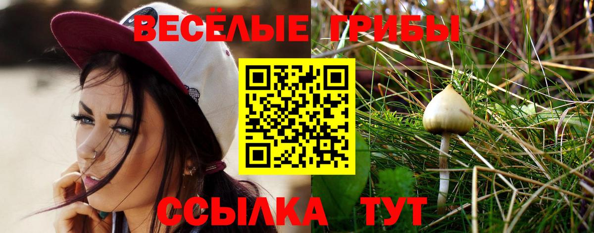 Псилоцибиновые грибы Magic Shrooms  Вход с VPN  Изобильный 